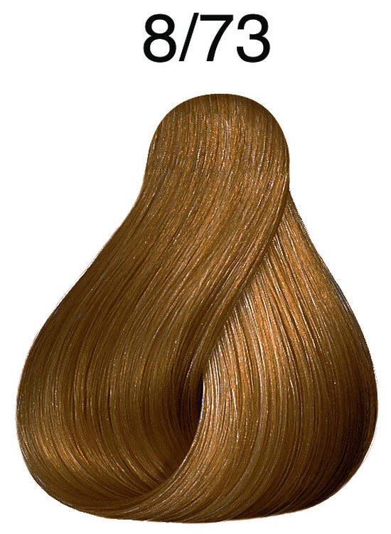 Fő kép